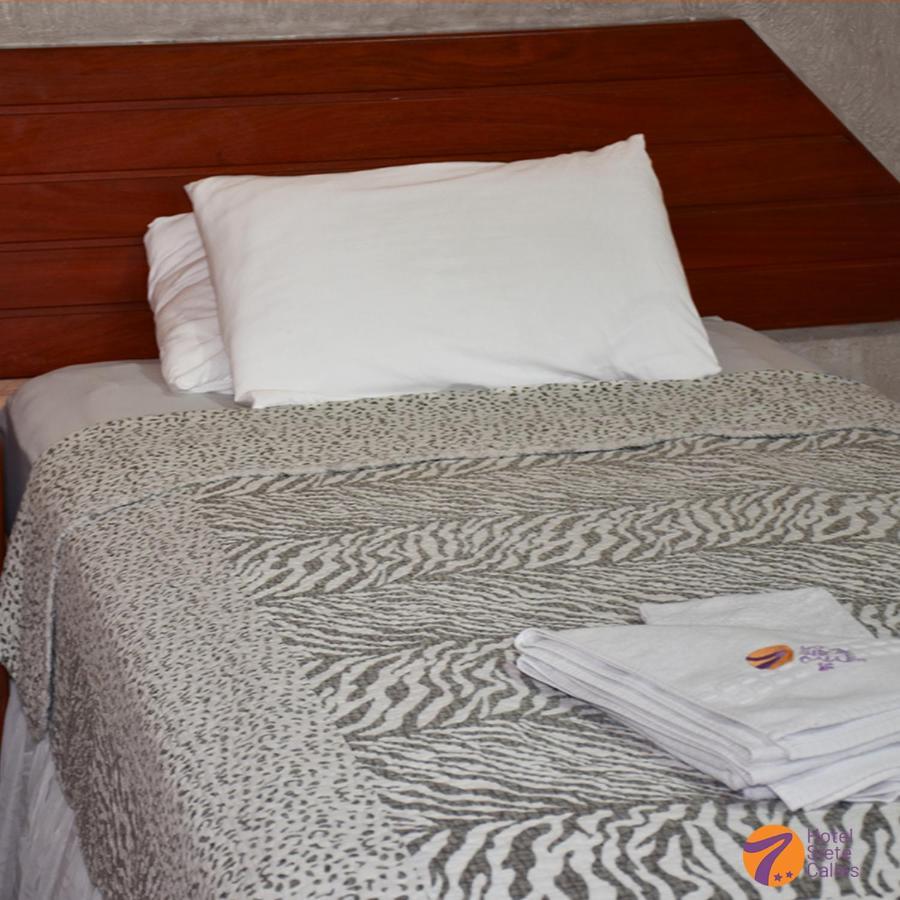 Hotel 7 Calles Santa Cruz de La Sierra Εξωτερικό φωτογραφία